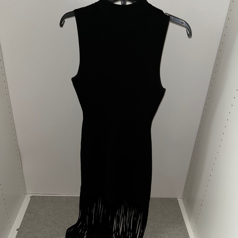 Sandro Fringe dress